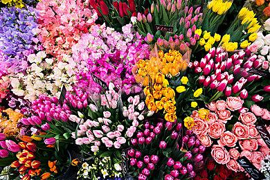 《战地6》征服模式回调 重回1000票数和45分钟时长